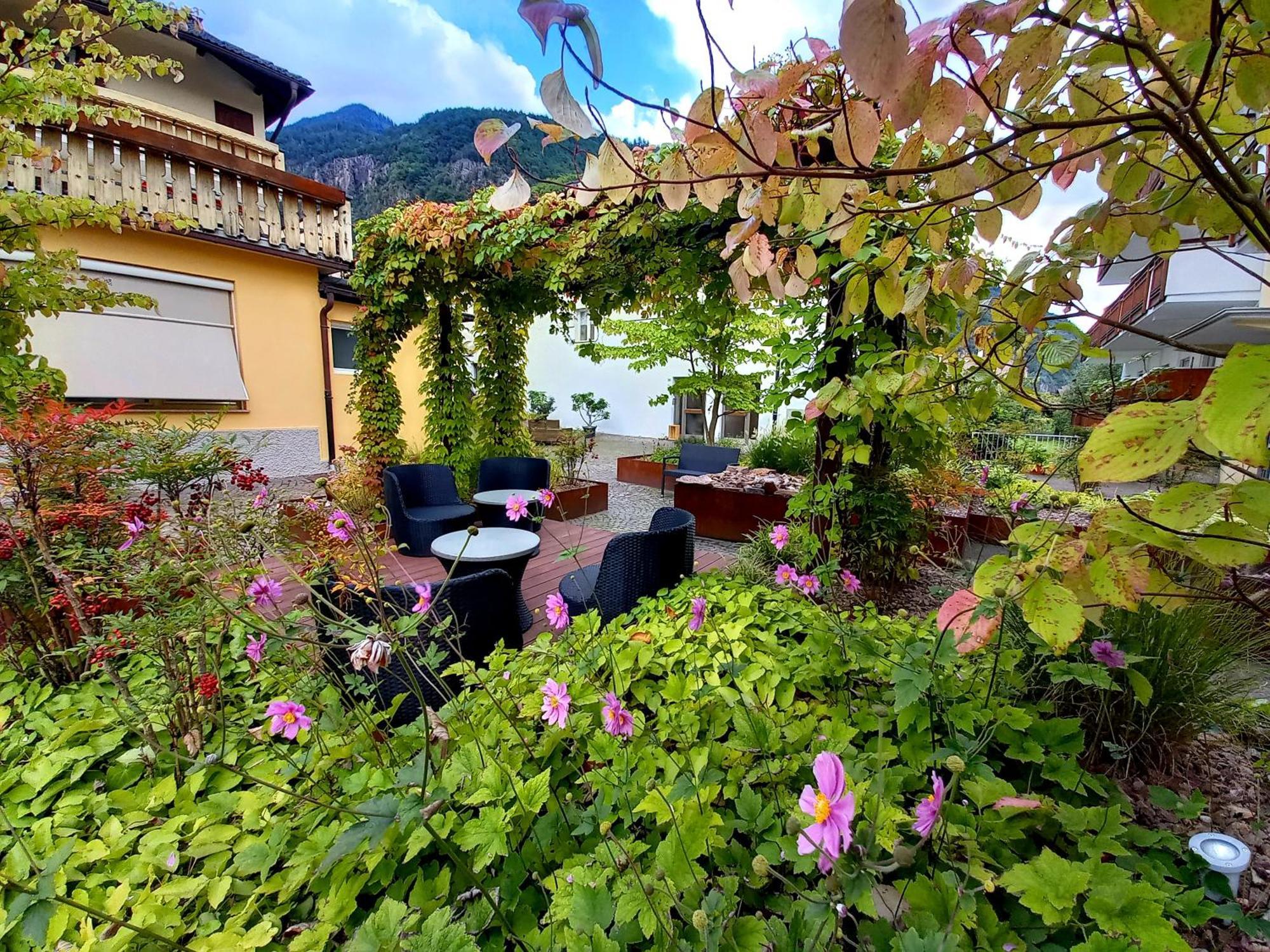 לאיבס Hotel Garni Gruener Baum מראה חיצוני תמונה